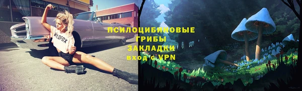 прущая мука Зеленодольск