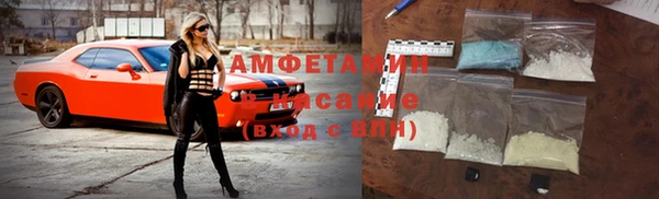гидра Инта
