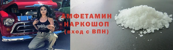 гидра Инта