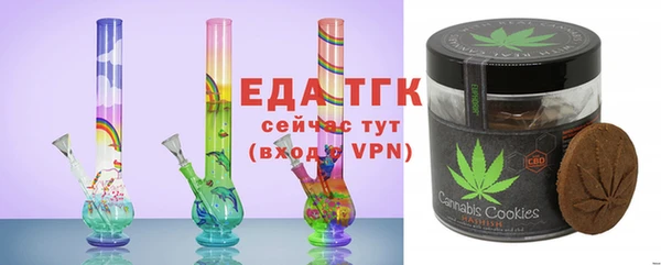 гидра Инта