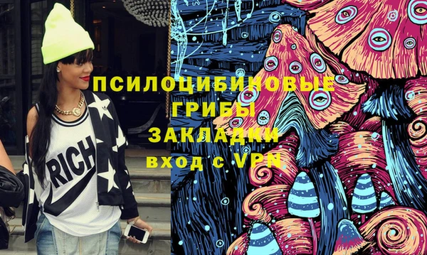 шишки Зерноград