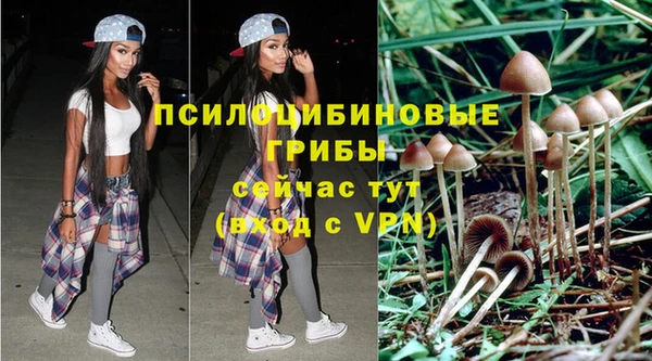 гидра Инта