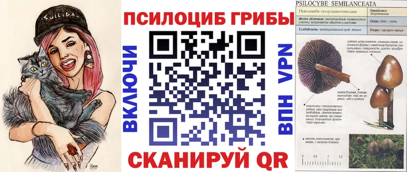 Псилоцибиновые грибы Psilocybe  Купить где  Льгов 